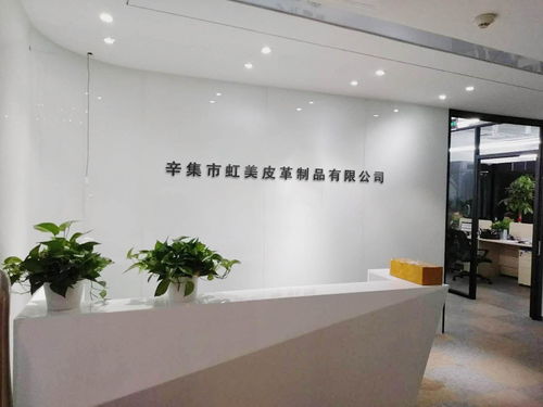 辛集市虹美皮革制品 以專業會議及展覽服務，打造皮革行業交流新平臺